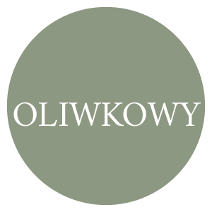 Obszar roboczy 9.png