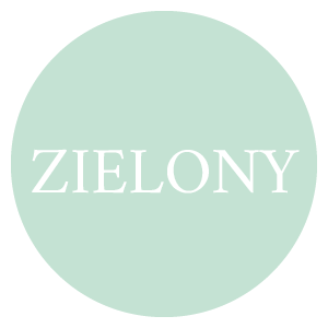 Obszar roboczy 3.png