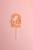 2J9A7426.jpg