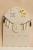 2J9A87072.jpg