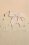 2J9Ad9364.jpg