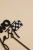 2J9A98365.jpg