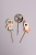 2J9A98975.jpg