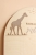 2J9A02774.jpg