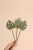 2J9A06553.jpg